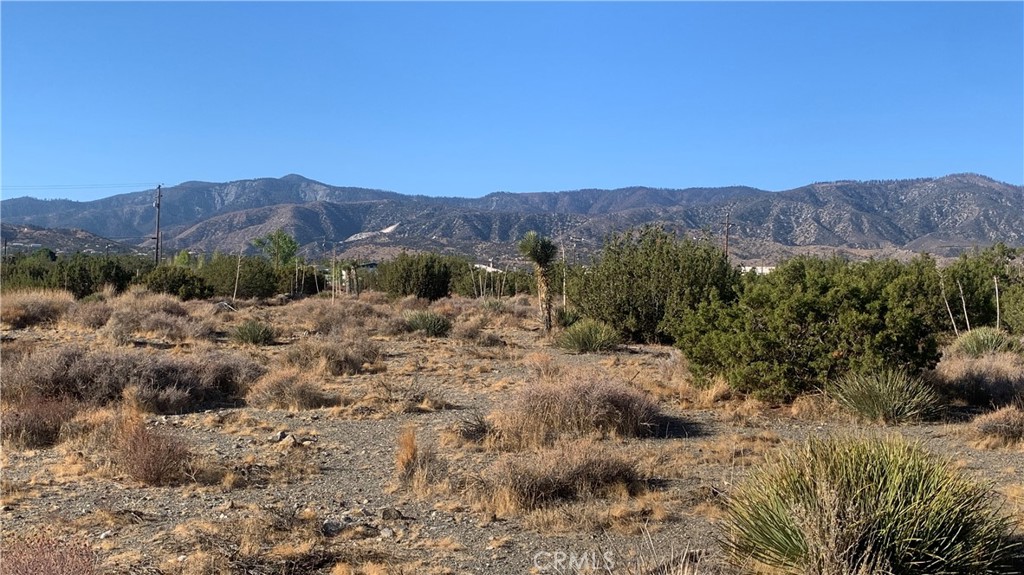 0 Yucca Terrace Property Photo 1