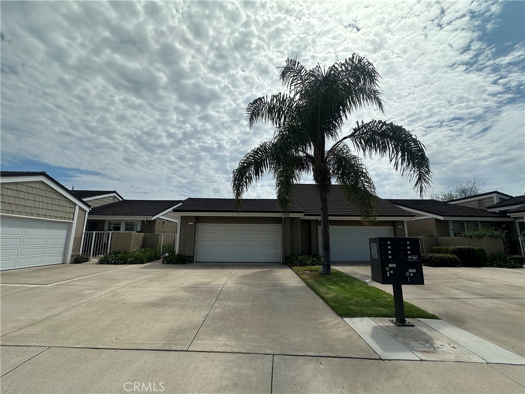11 Beechwood Property Photo 14