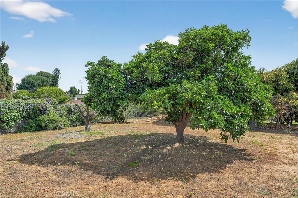 1400 N Puente Property Photo 64