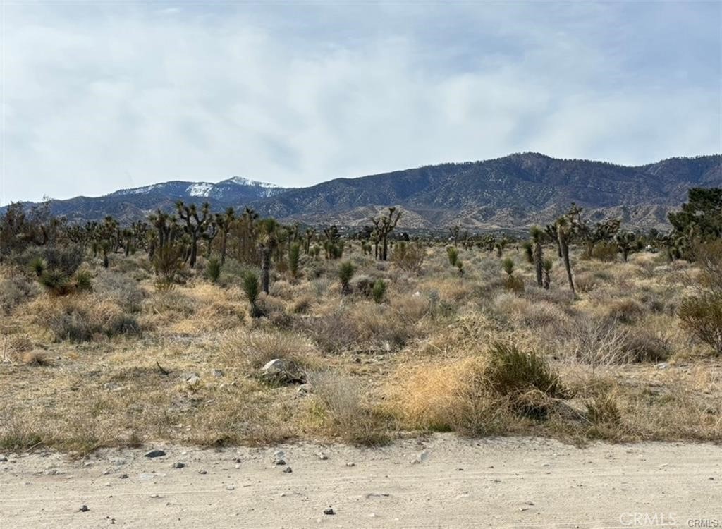 0 Mono Road Property Photo 1