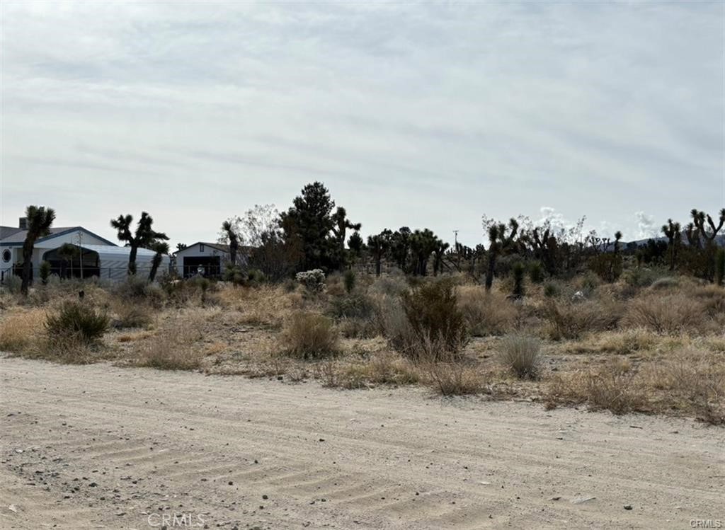 0 Mono Road Property Photo 2