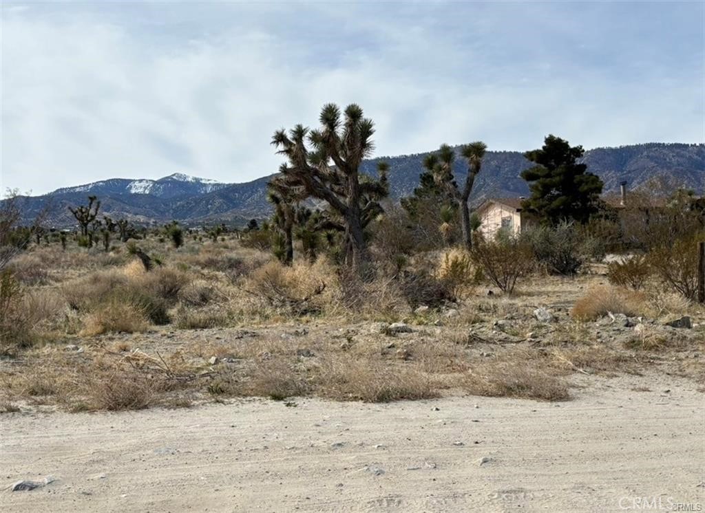 0 Mono Road Property Photo 3