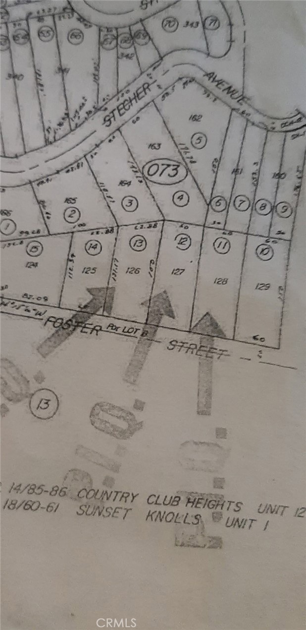0 Foster Property Photo 5