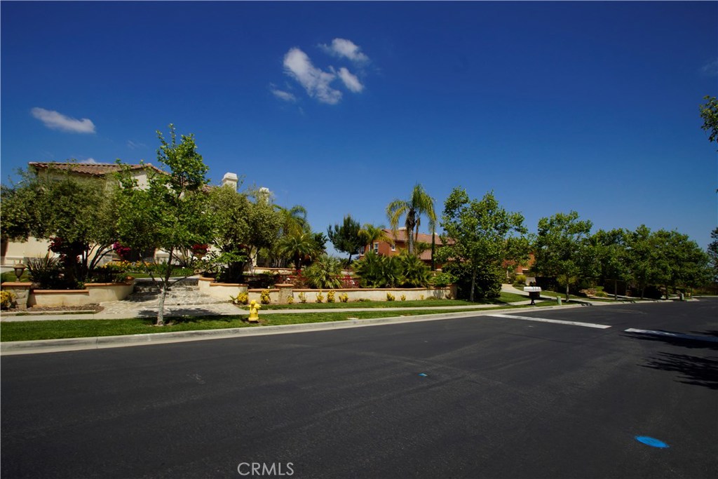 955 Randall Ranch Road Property Photo 11