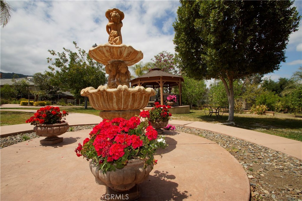 955 Randall Ranch Road Property Photo 17