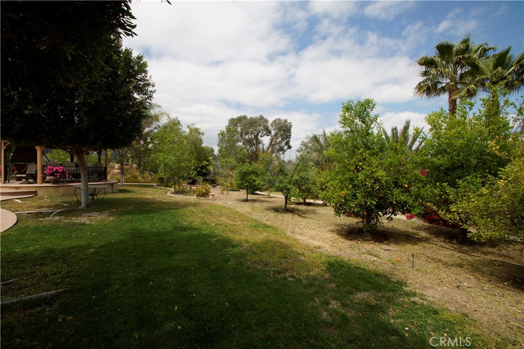 955 Randall Ranch Road Property Photo 30