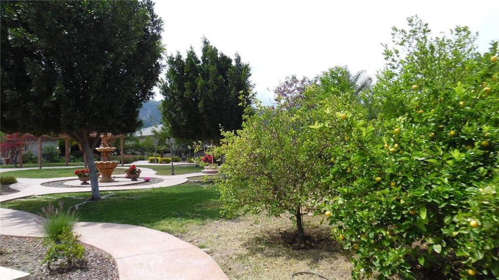 955 Randall Ranch Road Property Photo 43