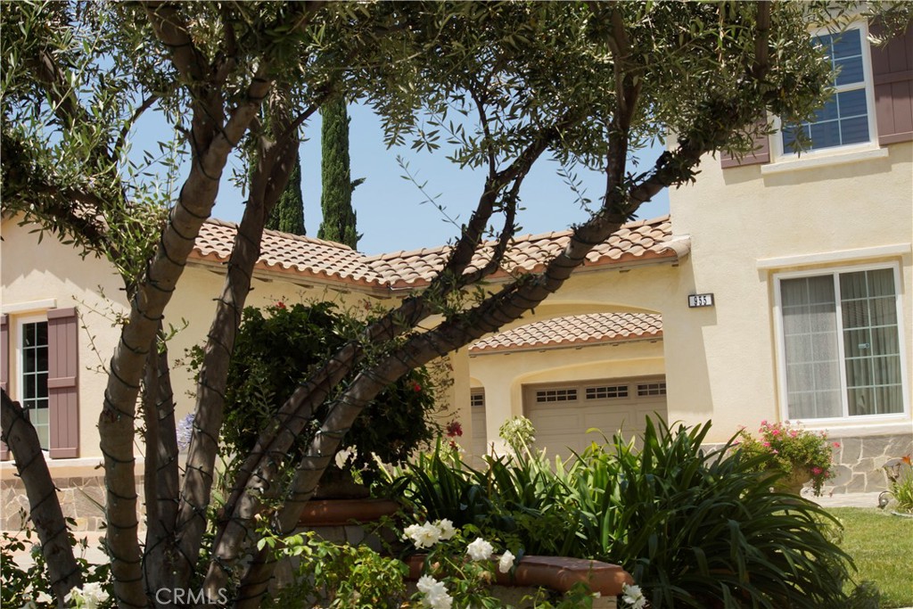 955 Randall Ranch Road Property Photo 74
