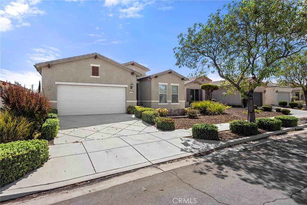 1410 Corte Alamonte Property Photo 3