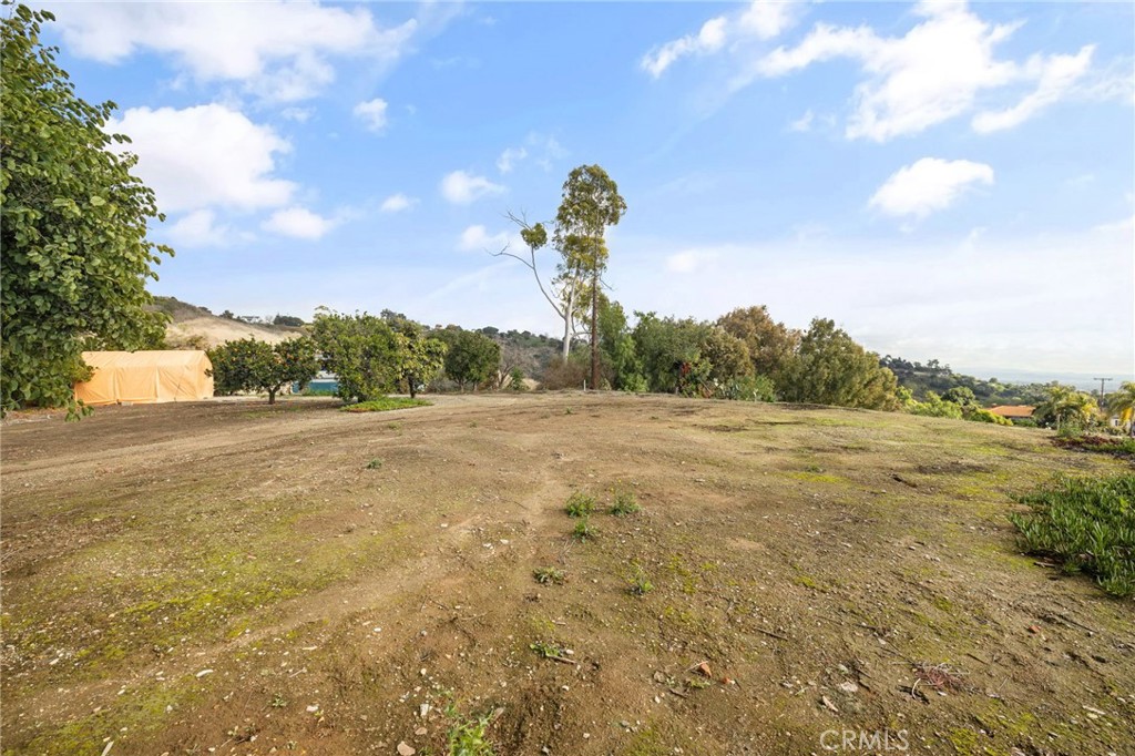2264 Papaya Drive Property Photo 14