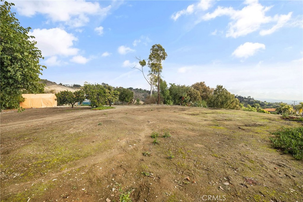 2264 Papaya Drive Property Photo 14