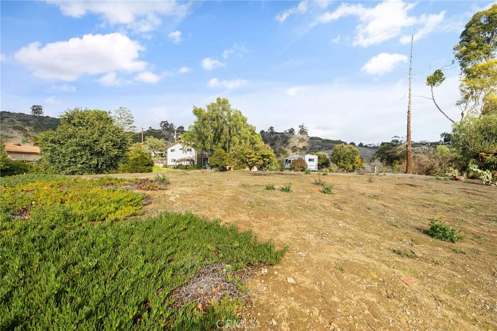 2264 Papaya Drive Property Photo 16