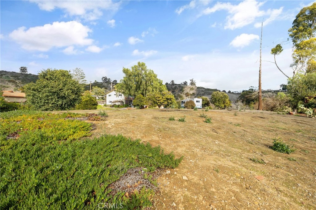 2264 Papaya Drive Property Photo 16