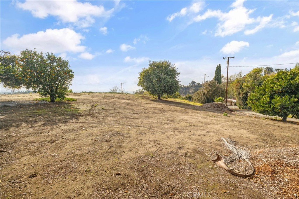 2264 Papaya Drive Property Photo 31