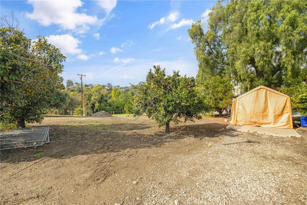 2264 Papaya Drive Property Photo 40