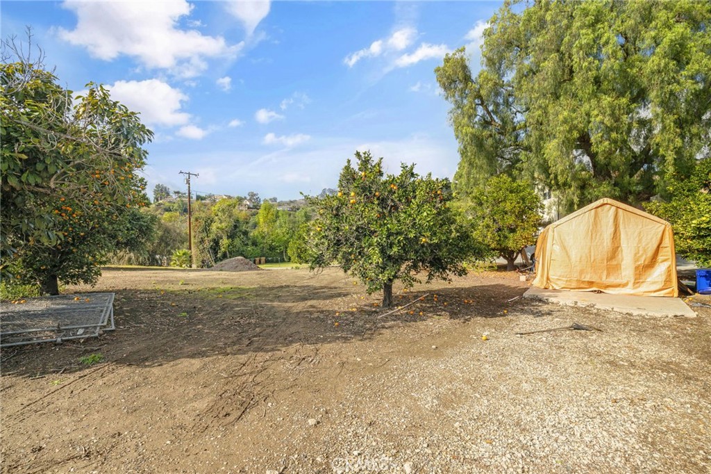 2264 Papaya Drive Property Photo 40