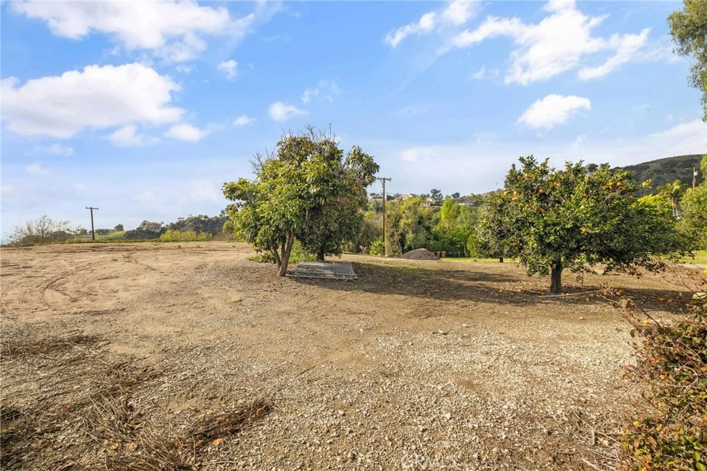 2264 Papaya Drive Property Photo 41