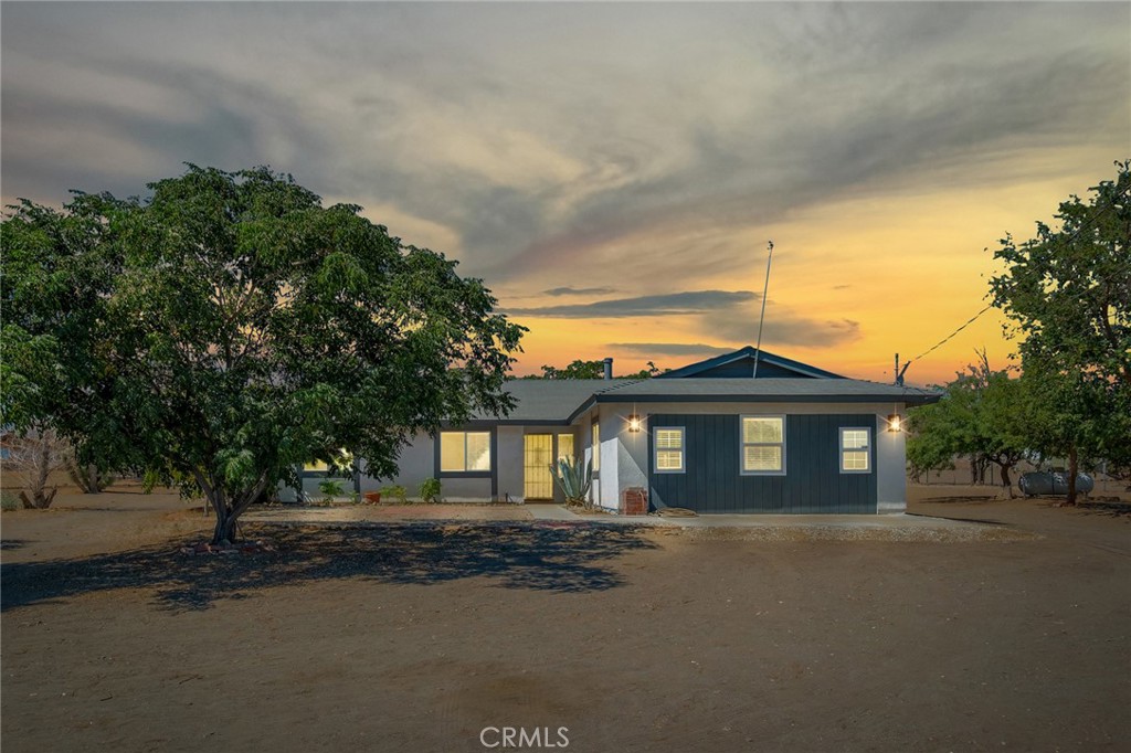 3583 Smoke Tree Property Photo 1