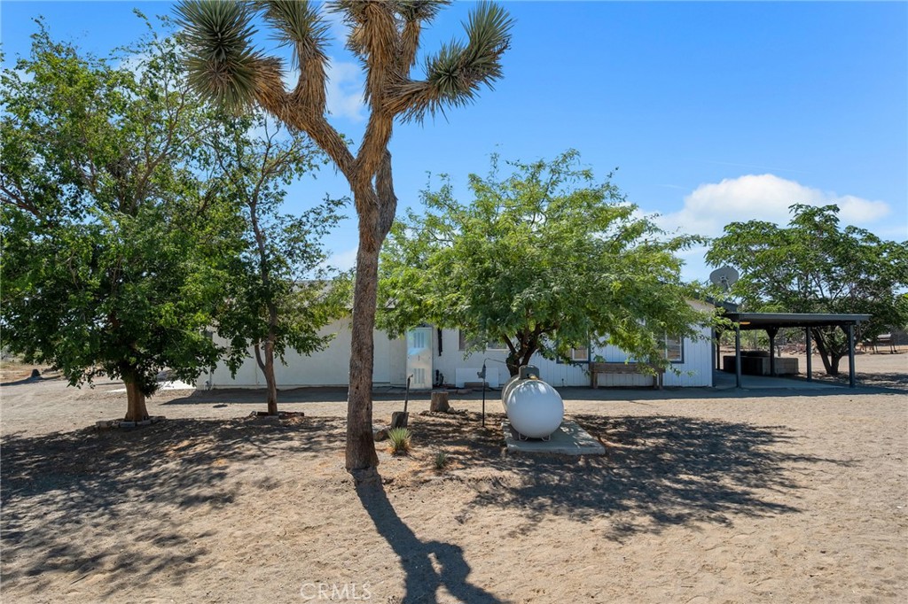3583 Smoke Tree Property Photo 17