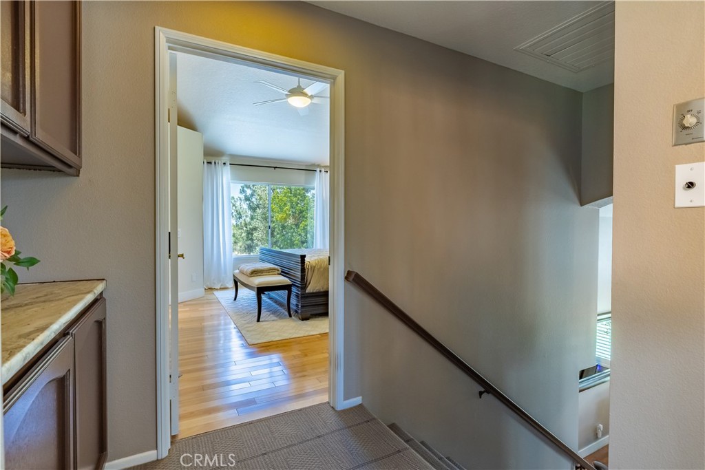 10851 Orchard View Lane Property Photo 46
