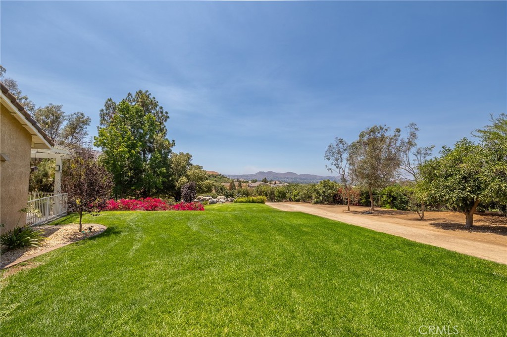 10851 Orchard View Lane Property Photo 68