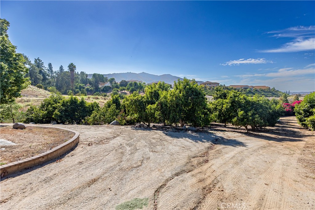 10851 Orchard View Lane Property Photo 69