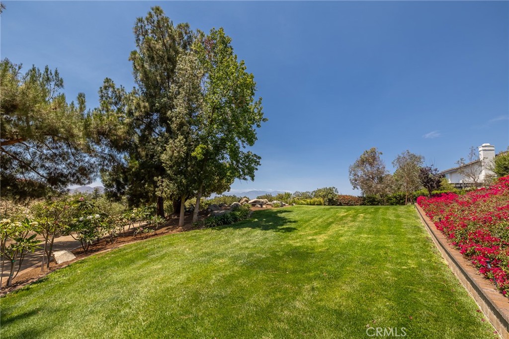 10851 Orchard View Lane Property Photo 74