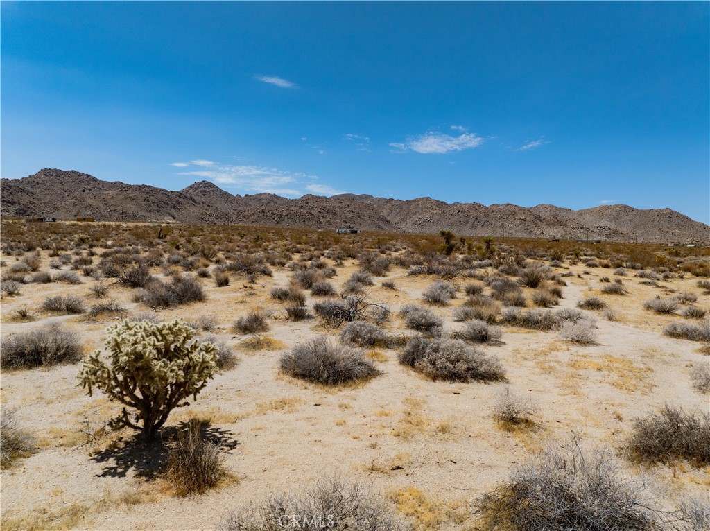 29 Palms Property Photo 9