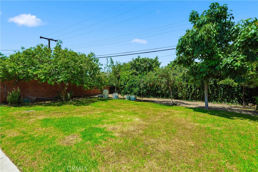 1015 W 5th Property Photo 31