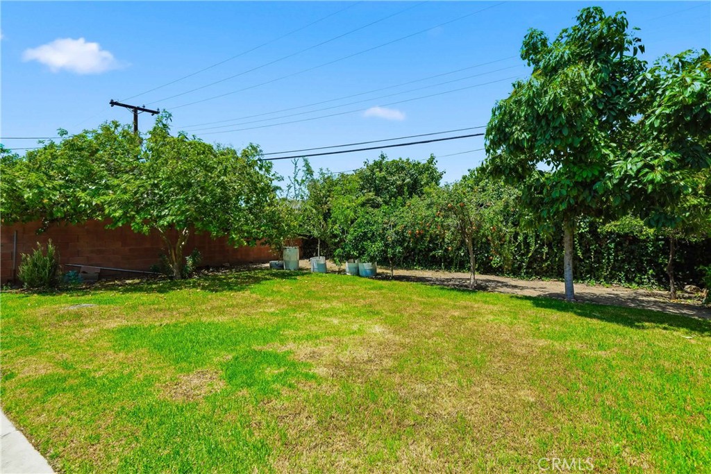 1015 W 5th Property Photo 31