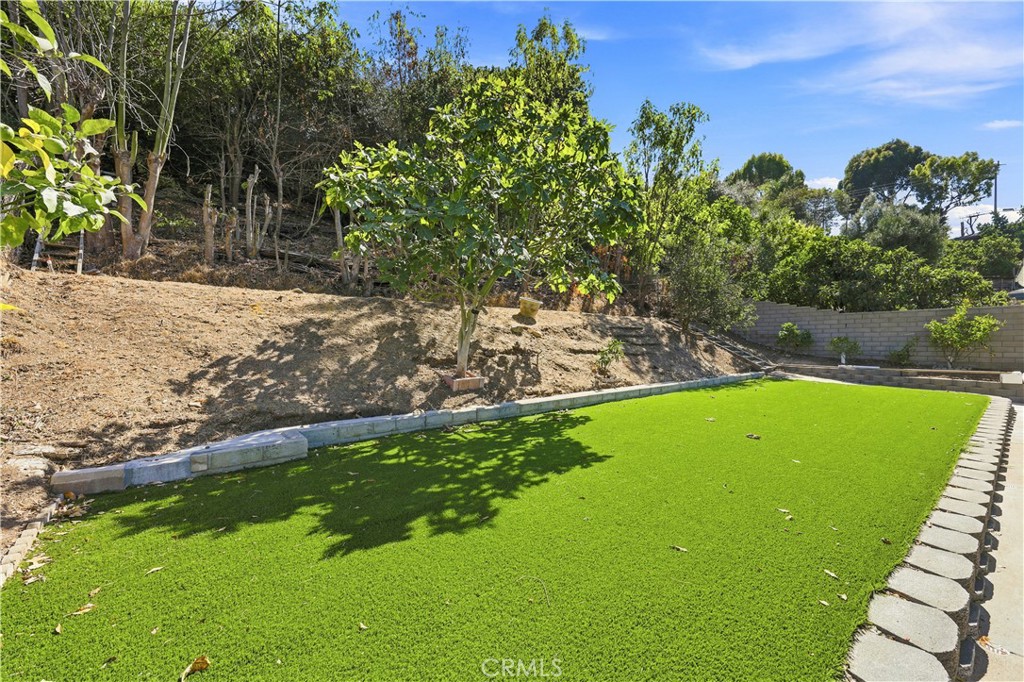 2080 Avenida Feliciano Property Photo 53