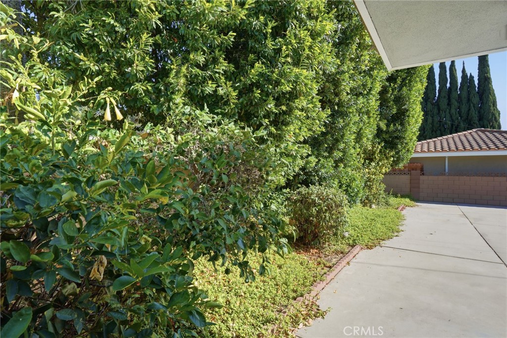 1461 Ameluxen Avenue Property Photo 20