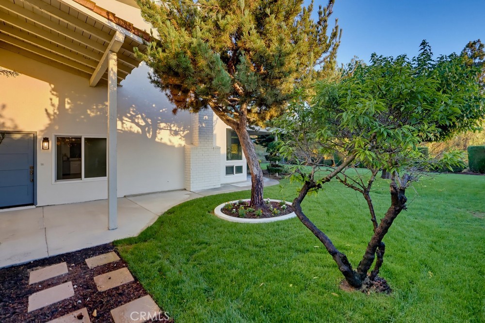 1416 Calle Pajaros Property Photo 48
