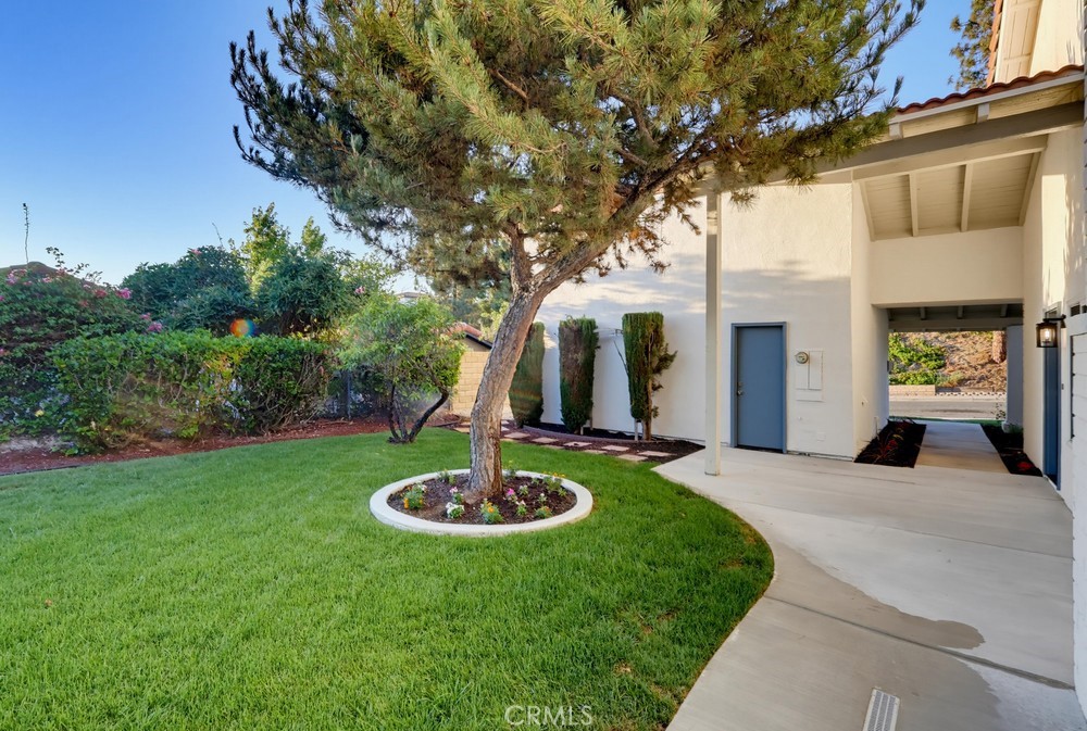 1416 Calle Pajaros Property Photo 49
