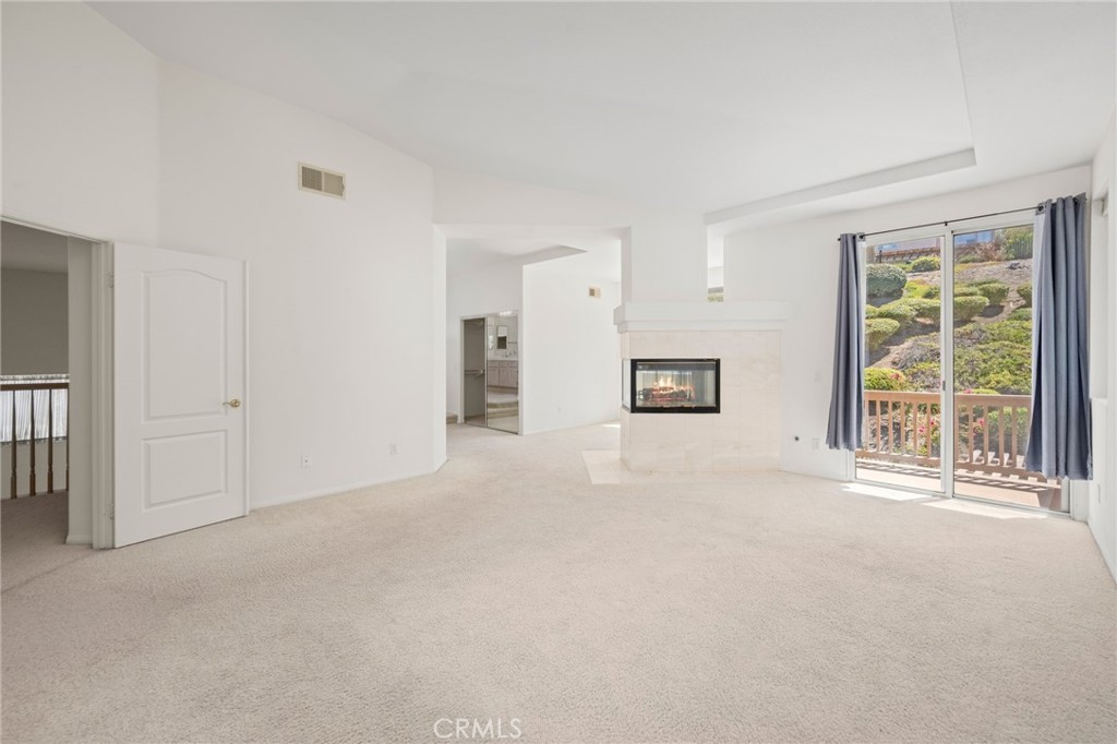 1041 Calle De Alcala Property Photo 22