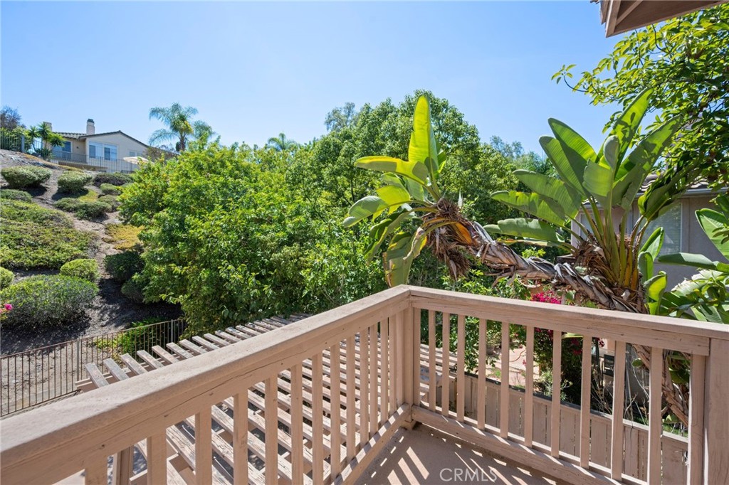 1041 Calle De Alcala Property Photo 33