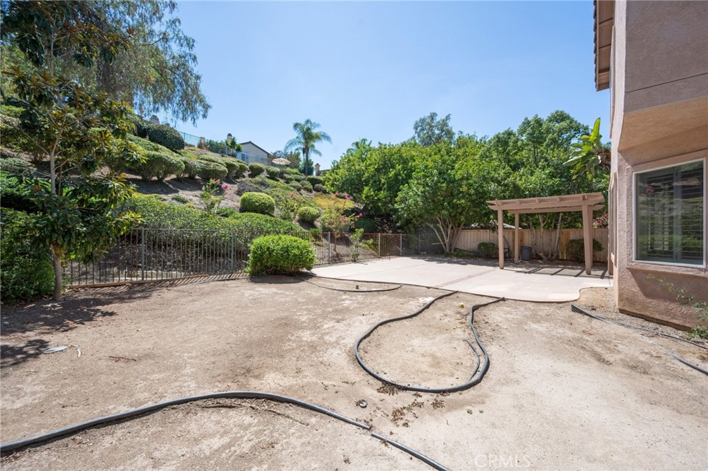 1041 Calle De Alcala Property Photo 38