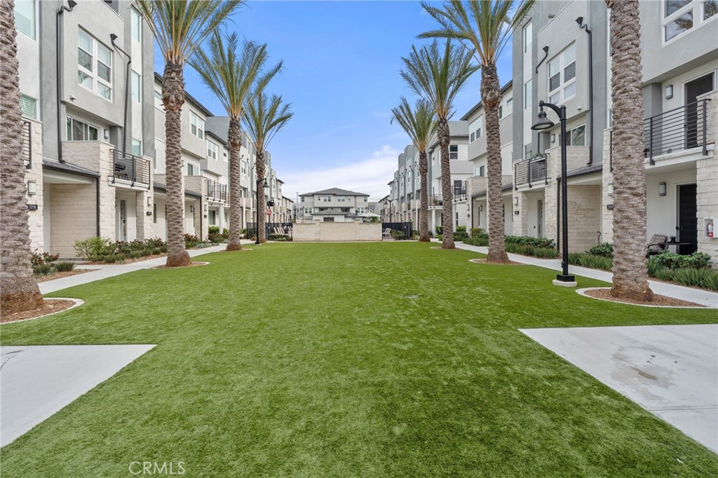 1423 W Cara Property Photo 35