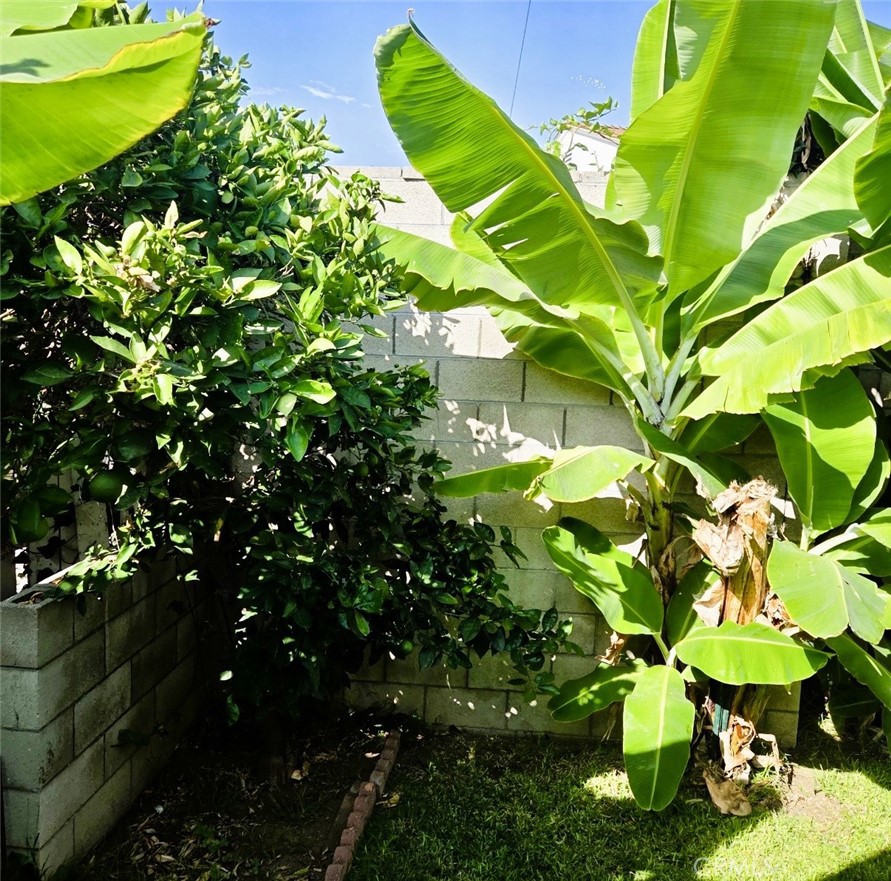 14730 Starpath Property Photo 9