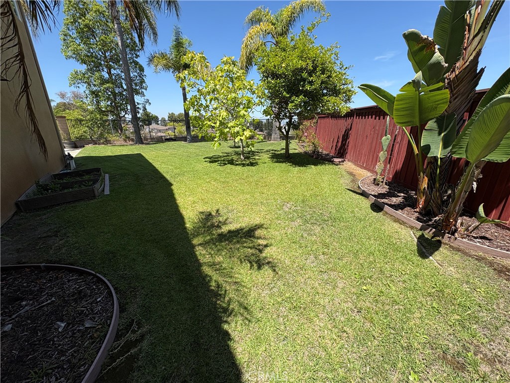 2364 Amelia Court Property Photo 7