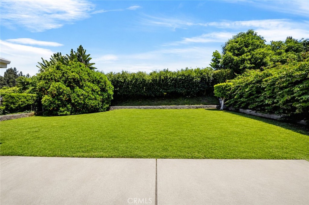 535 Papyrus Property Photo 29