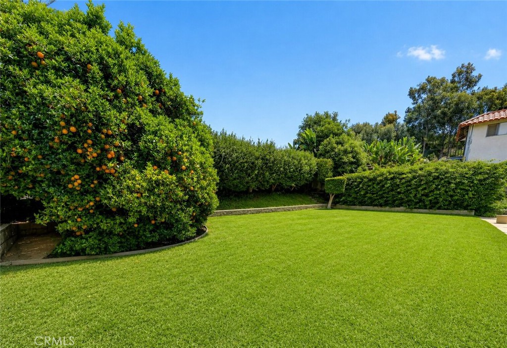 535 Papyrus Property Photo 30