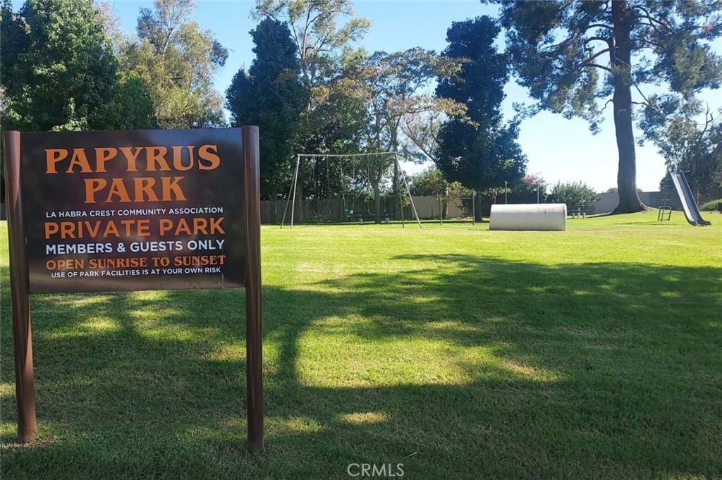 535 Papyrus Property Photo 32