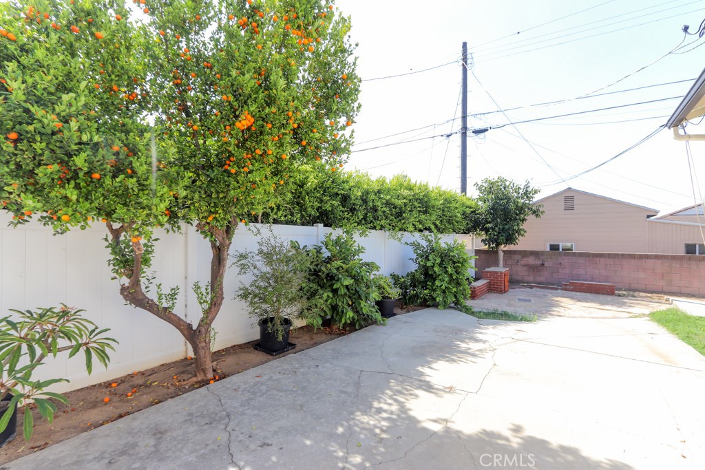 726 W 147th Property Photo 18