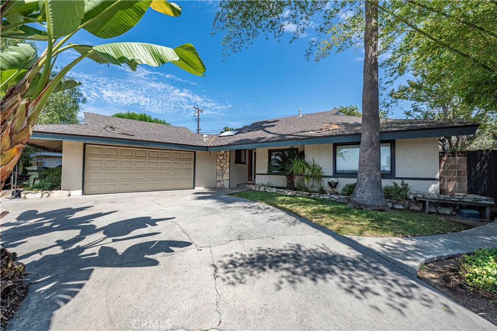 12146 Grovedale Property Photo 4