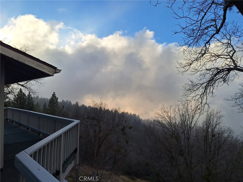 30396 Live Oak Drive Property Photo 29