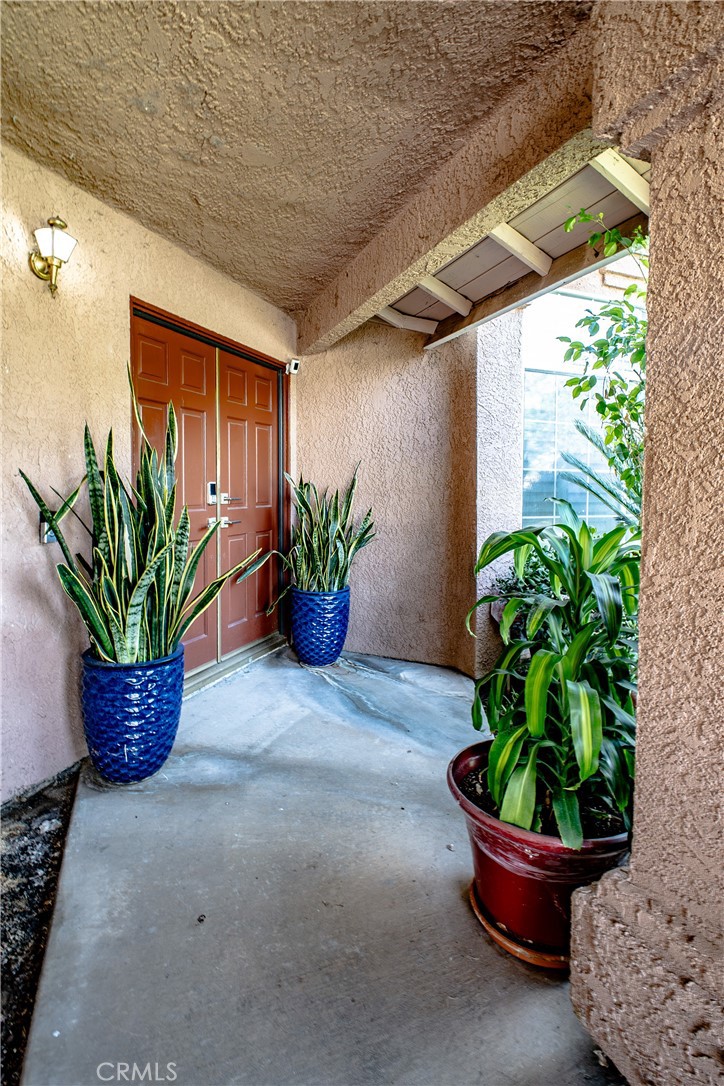 7497 Star Pine Circle Property Photo 4