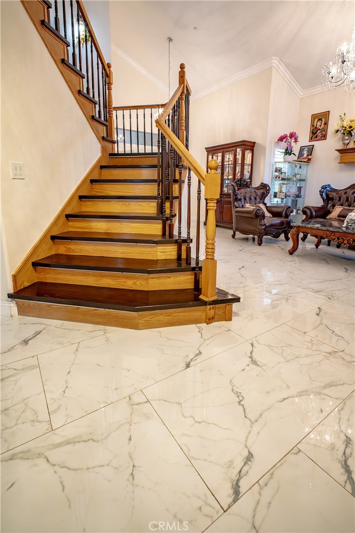 7497 Star Pine Circle Property Photo 11