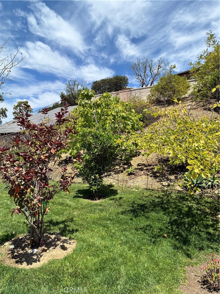31378 Juliana Farms Road Property Photo 55