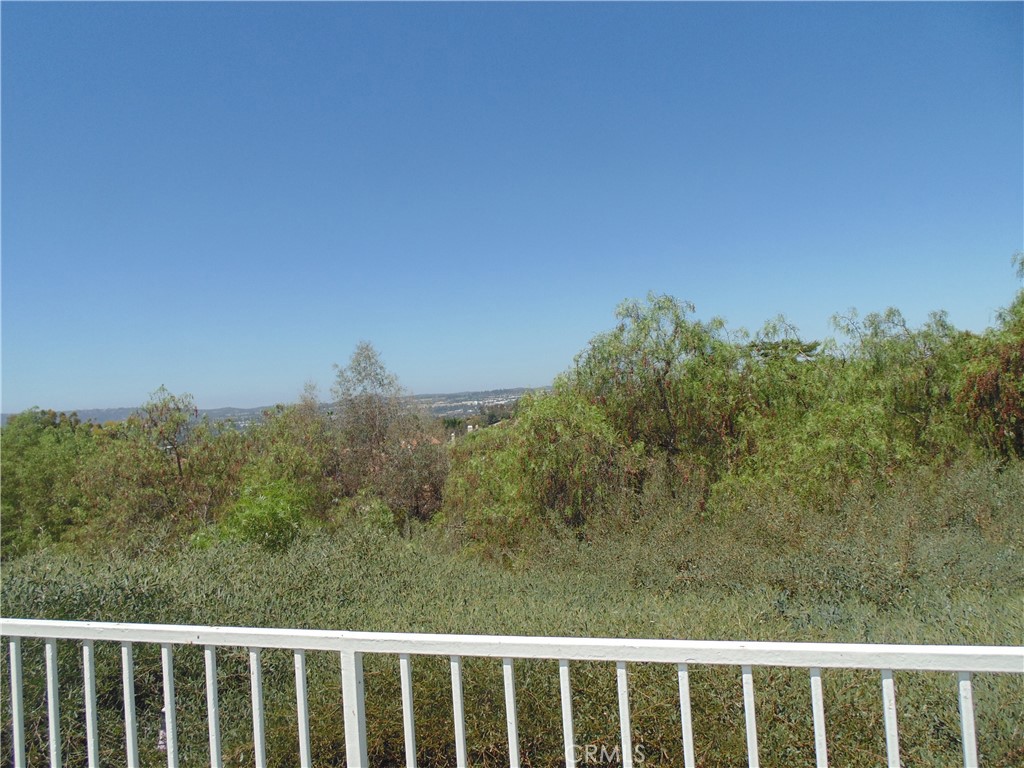 26711 Laurel Crest Property Photo 19
